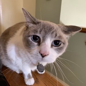 Meet your Posher, Eli